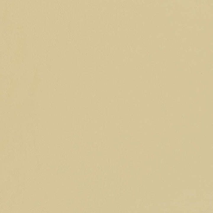 V448 Buff by Charlotte Designer Fabric Marine Vinyl 100% Virgin Vinyl, 33oz. Asia Exceeds 220,000 Wyzenbeek Rubs (Heavy Duty) No Repeat 54 Inches - Swanky Fabrics -