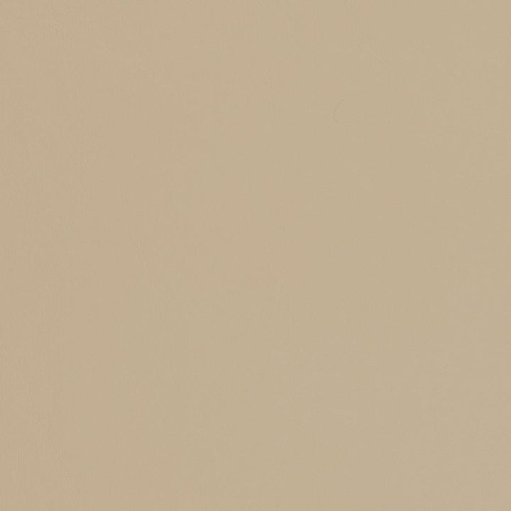 V451 Sandstone by Charlotte Fabric Marine Vinyl 100% Virgin Vinyl, 33oz. Asia Exceeds 220,000 Wyzenbeek Rubs (Heavy Duty) No Repeat 54 Inches - Fabric Carolina -