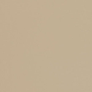 V451 Sandstone by Charlotte Fabric