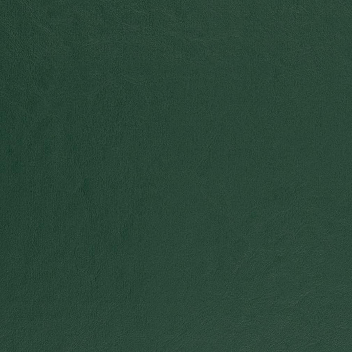 V457 Spruce by Charlotte Fabric Marine Vinyl 100% Virgin Vinyl, 33oz. Asia Exceeds 220,000 Wyzenbeek Rubs (Heavy Duty) No Repeat 54 Inches - Fabric Carolina -