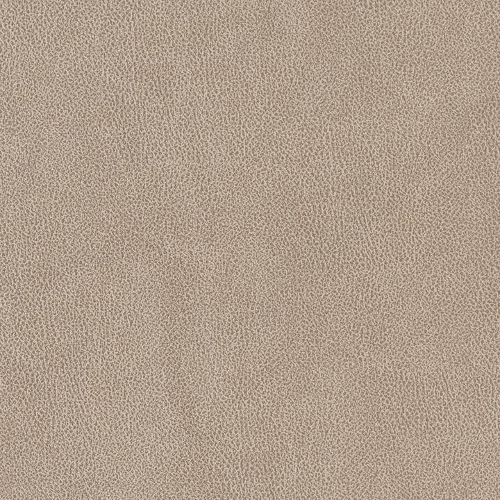 V500 Sandstone by Charlotte Fabric Breathables IV 100% Breathable Polyurethane, 26oz. China Exceeds 250,000 Wyzenbeek Rubs (Heavy Duty) No Repeat 54 Inches - Fabric Carolina -