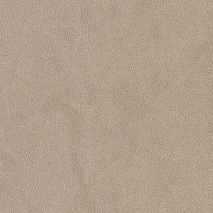 V500 Sandstone by Charlotte Fabric