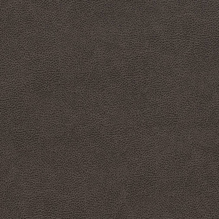 V501 Charcoal by Charlotte Fabric Breathables IV 100% Breathable Polyurethane, 26oz. China Exceeds 250,000 Wyzenbeek Rubs (Heavy Duty) No Repeat 54 Inches - Fabric Carolina -