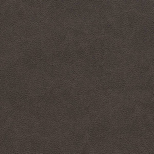 V501 Charcoal by Charlotte Fabric