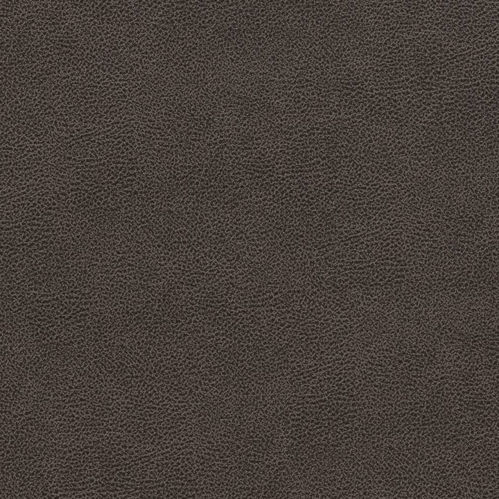 V501 Charcoal by Charlotte Designer Fabric Breathables IV 100% Breathable Polyurethane, 26oz. Asia Exceeds 2,000,000 Wyzenbeek Double Rubs (Heavy Duty) </p><p>Repeat: 54 Inches - Swanky Fabrics -