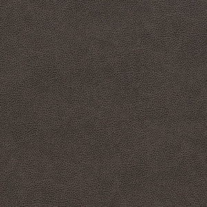 V501 Charcoal by Charlotte Fabric