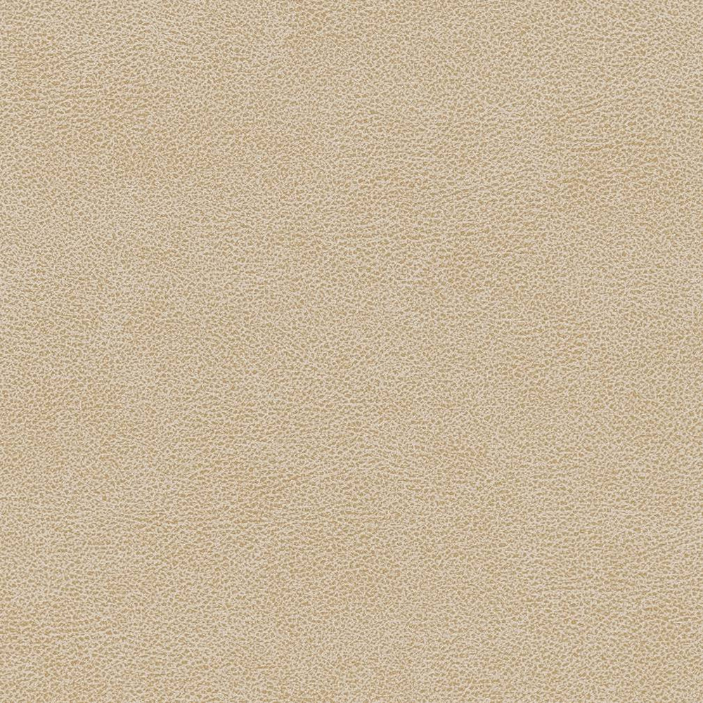 V502 Sand Dollar by Charlotte Designer Fabric Breathables IV 100% Breathable Polyurethane, 26oz. China Exceeds 250,000 Wyzenbeek Rubs (Heavy Duty) No Repeat 54 Inches - Swanky Fabrics -