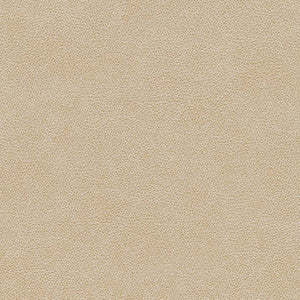 V502 Sand Dollar by Charlotte Fabric