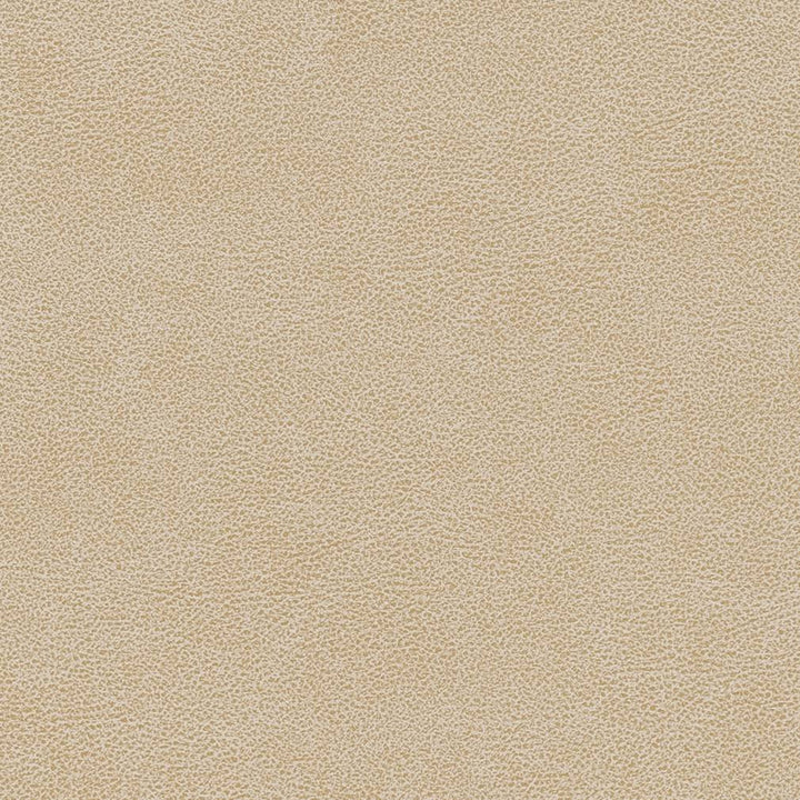 V502 Sand Dollar by Charlotte Fabric Breathables IV 100% Breathable Polyurethane, 26oz. Asia Exceeds 2,000,000 Wyzenbeek Double Rubs (Heavy Duty) </p><p>Repeat: 54 Inches - Fabric Carolina -