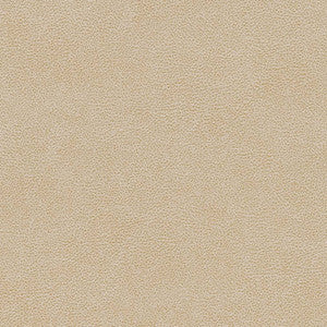 V502 Sand Dollar by Charlotte Fabric
