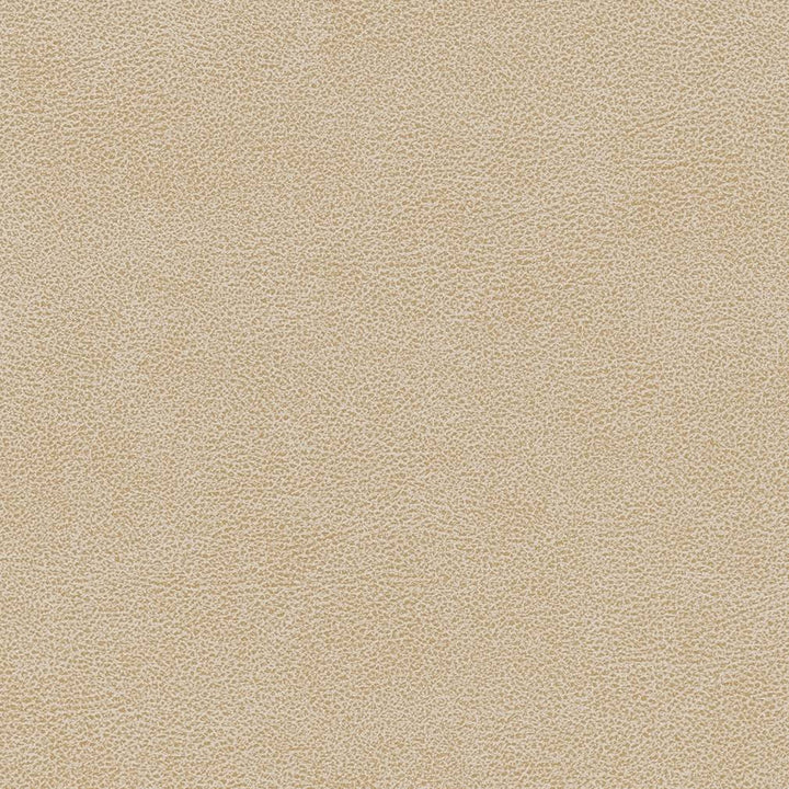 V502 Sand Dollar by Charlotte Designer Fabric Breathables IV 100% Breathable Polyurethane, 26oz. Asia Exceeds 2,000,000 Wyzenbeek Double Rubs (Heavy Duty) </p><p>Repeat: 54 Inches - Swanky Fabrics -