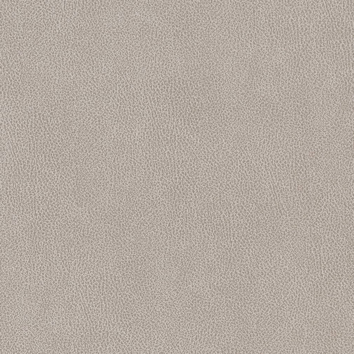 V503 Platinum by Charlotte Designer Fabric Breathables IV 100% Breathable Polyurethane, 26oz. Asia Exceeds 2,000,000 Wyzenbeek Double Rubs (Heavy Duty) </p><p>Repeat: 54 Inches - Swanky Fabrics -