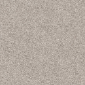 V503 Platinum by Charlotte Fabric