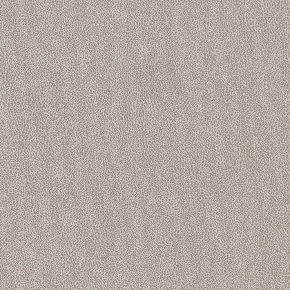 V503 Platinum by Charlotte Designer Fabric Breathables IV 100% Breathable Polyurethane, 26oz. China Exceeds 250,000 Wyzenbeek Rubs (Heavy Duty) No Repeat 54 Inches - Swanky Fabrics -