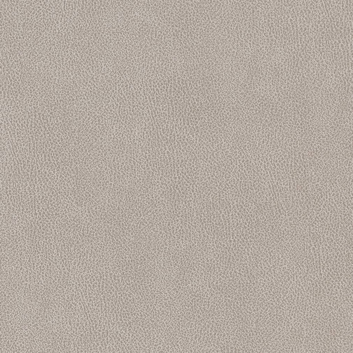 V503 Platinum by Charlotte Fabric Breathables IV 100% Breathable Polyurethane, 26oz. Asia Exceeds 2,000,000 Wyzenbeek Double Rubs (Heavy Duty) </p><p>Repeat: No Repeat 54 Inches - Fabric Carolina -