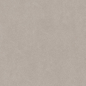 V503 Platinum by Charlotte Fabric
