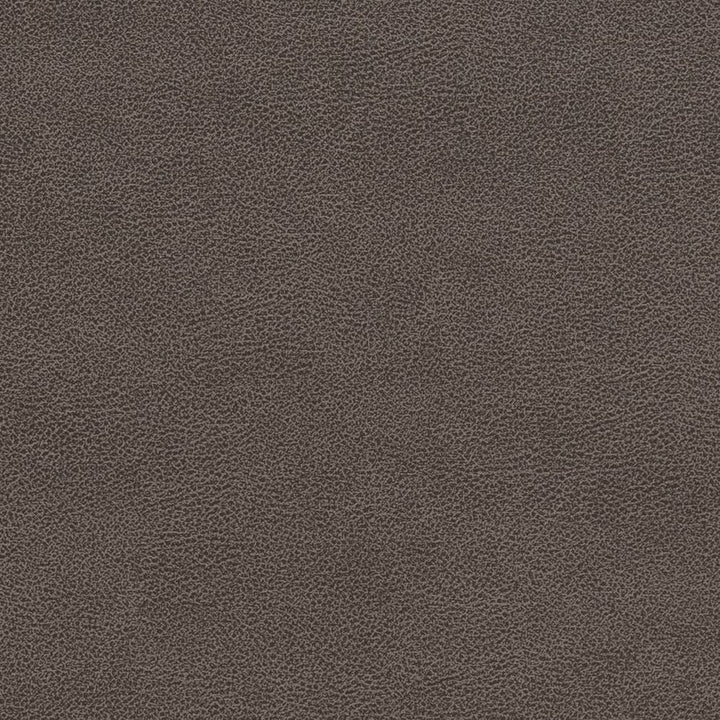 V504 Gravel by Charlotte Fabric Breathables IV 100% Breathable Polyurethane, 26oz. Asia Exceeds 2,000,000 Wyzenbeek Double Rubs (Heavy Duty) </p><p>Repeat: No Repeat 54 Inches - Fabric Carolina -