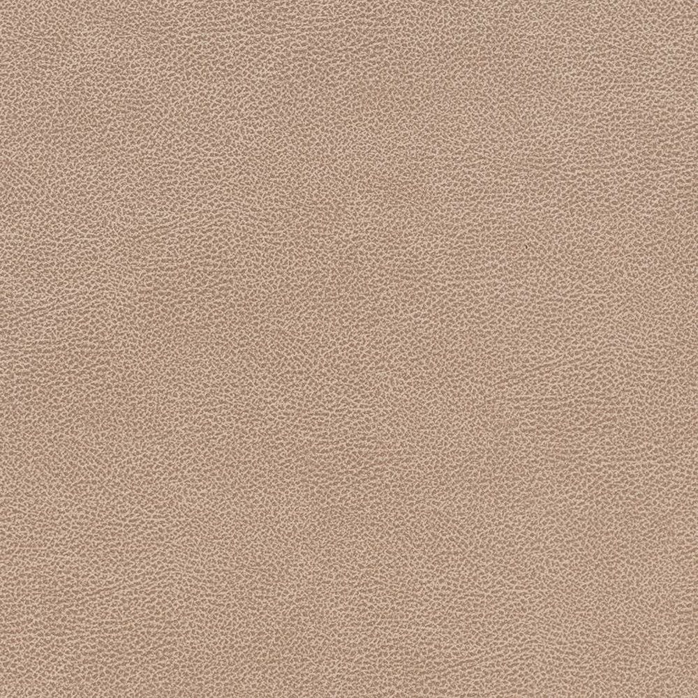 V505 Cashew by Charlotte Fabric Breathables IV 100% Breathable Polyurethane, 26oz. China Exceeds 250,000 Wyzenbeek Rubs (Heavy Duty) No Repeat 54 Inches - Fabric Carolina -