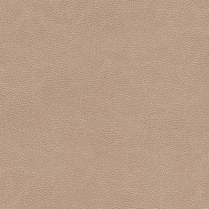 V505 Cashew by Charlotte Fabric Breathables IV 100% Breathable Polyurethane, 26oz. China Exceeds 250,000 Wyzenbeek Rubs (Heavy Duty) No Repeat 54 Inches - Fabric Carolina -