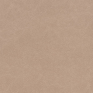 V505 Cashew by Charlotte Fabric