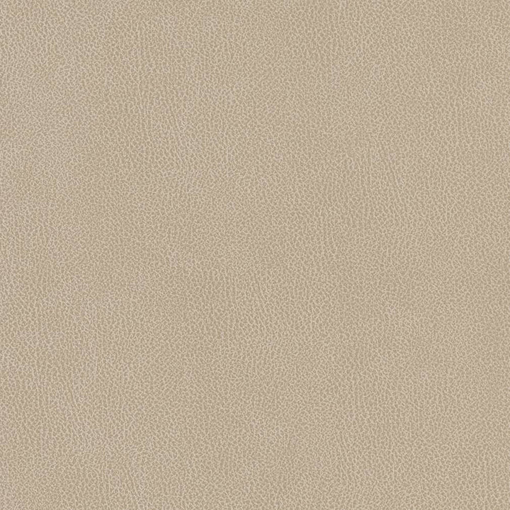 V506 Linen by Charlotte Fabric Breathables IV 100% Breathable Polyurethane, 26oz. China Exceeds 250,000 Wyzenbeek Rubs (Heavy Duty) No Repeat 54 Inches - Fabric Carolina -