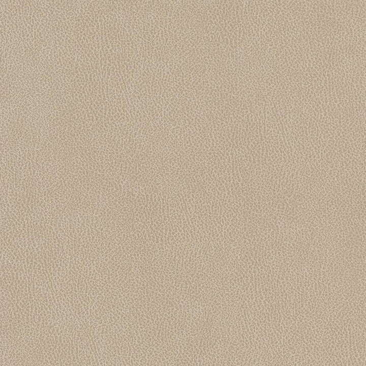 V506 Linen by Charlotte Designer Fabric Breathables IV 100% Breathable Polyurethane, 26oz. China Exceeds 250,000 Wyzenbeek Rubs (Heavy Duty) No Repeat 54 Inches - Swanky Fabrics -