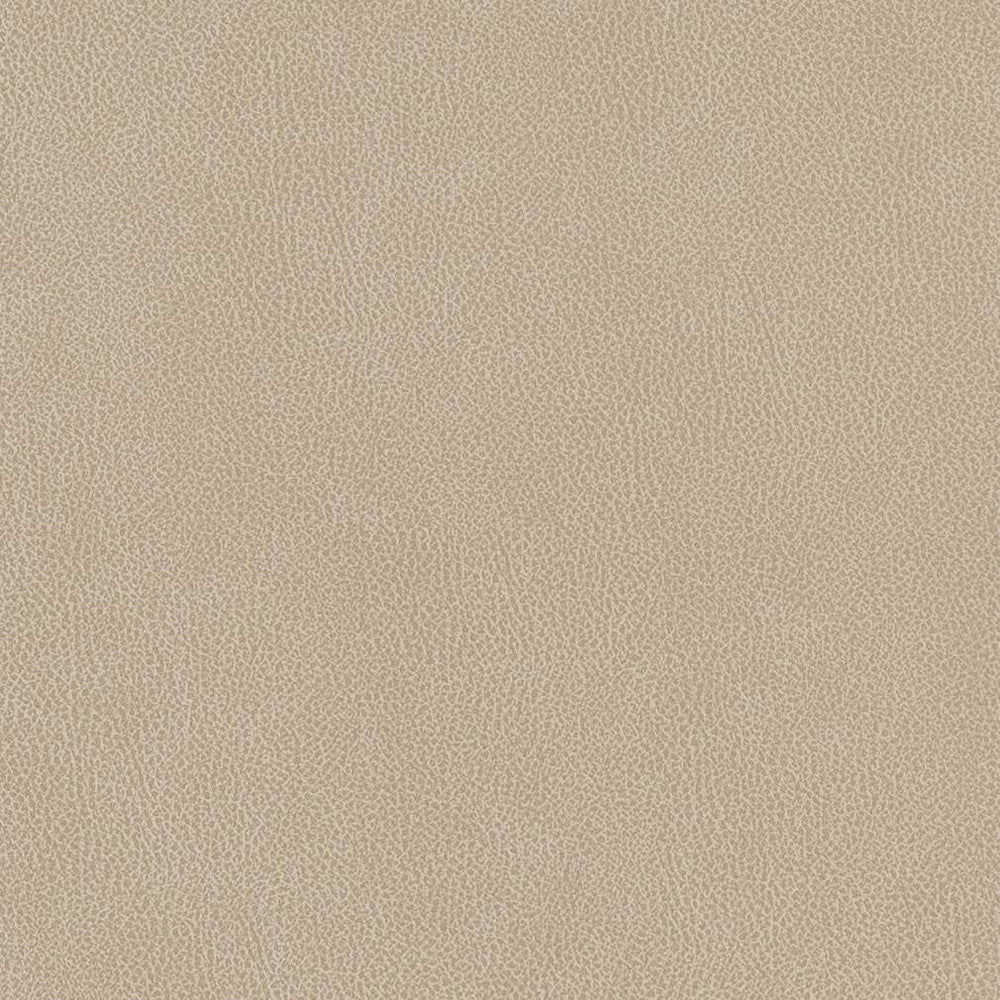 V506 Linen by Charlotte Fabric Breathables IV 100% Breathable Polyurethane, 26oz. Asia Exceeds 2,000,000 Wyzenbeek Double Rubs (Heavy Duty) </p><p>Repeat: No Repeat 54 Inches - Fabric Carolina -