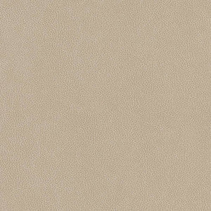 V506 Linen by Charlotte Fabric
