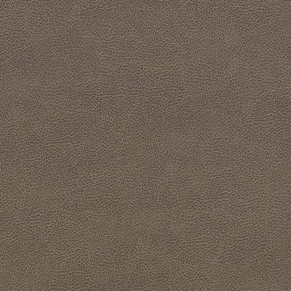 V507 Ash by Charlotte Fabric Breathables IV 100% Breathable Polyurethane, 26oz. Asia Exceeds 2,000,000 Wyzenbeek Double Rubs (Heavy Duty) </p><p>Repeat: No Repeat 54 Inches - Fabric Carolina -