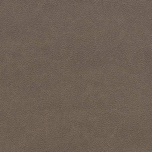 V507 Ash by Charlotte Fabric