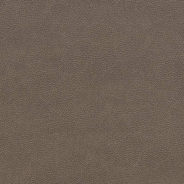 V507 Ash by Charlotte Fabric Breathables IV 100% Breathable Polyurethane, 26oz. China Exceeds 250,000 Wyzenbeek Rubs (Heavy Duty) No Repeat 54 Inches - Fabric Carolina -
