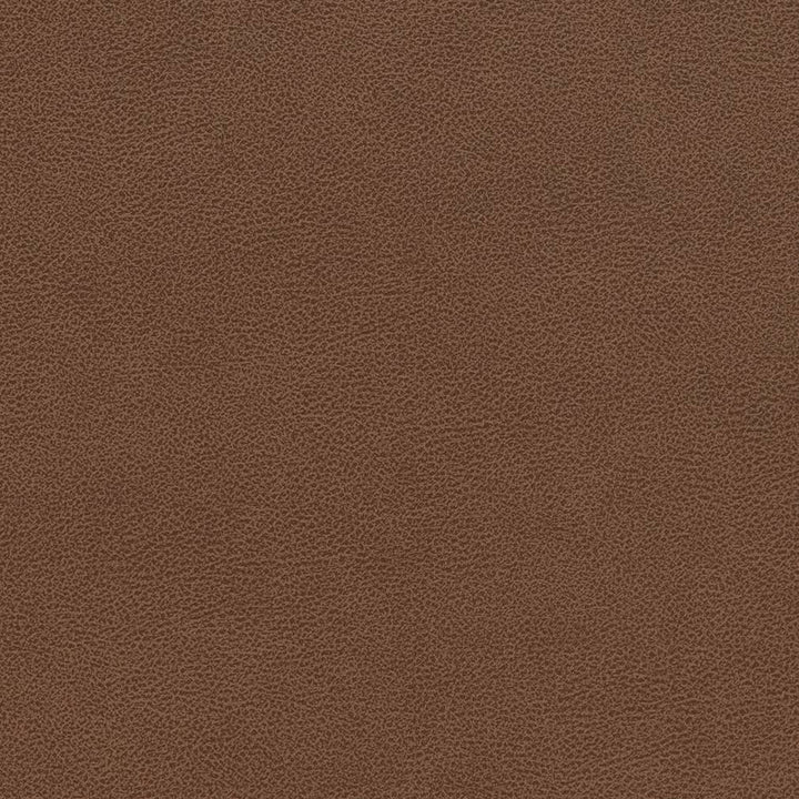 V509 Pecan by Charlotte Fabric Breathables IV 100% Breathable Polyurethane, 26oz. Asia Exceeds 2,000,000 Wyzenbeek Double Rubs (Heavy Duty) </p><p>Repeat: No Repeat 54 Inches - Fabric Carolina -
