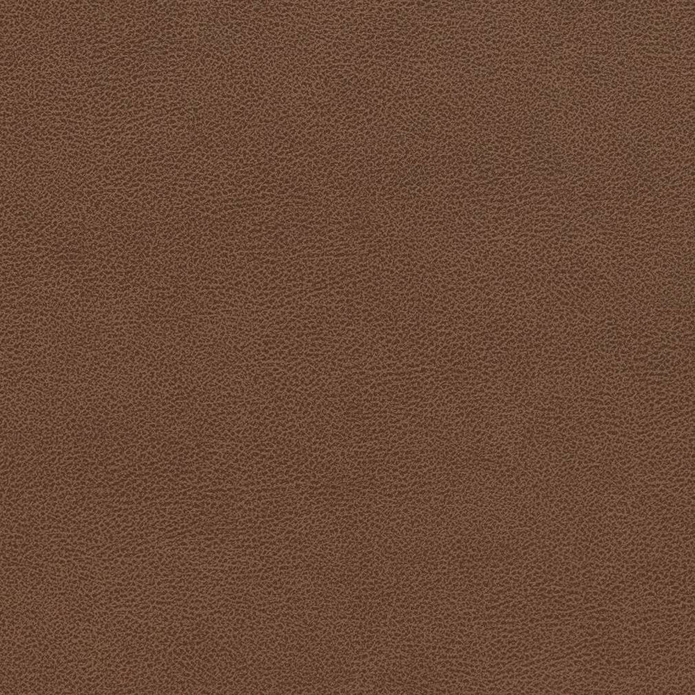 V509 Pecan by Charlotte Fabric Breathables IV 100% Breathable Polyurethane, 26oz. Asia Exceeds 2,000,000 Wyzenbeek Double Rubs (Heavy Duty) </p><p>Repeat: 54 Inches - Fabric Carolina -