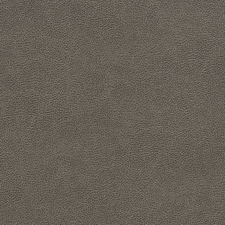 V510 Storm by Charlotte Fabric Breathables IV 100% Breathable Polyurethane, 26oz. China Exceeds 250,000 Wyzenbeek Rubs (Heavy Duty) No Repeat 54 Inches - Fabric Carolina -