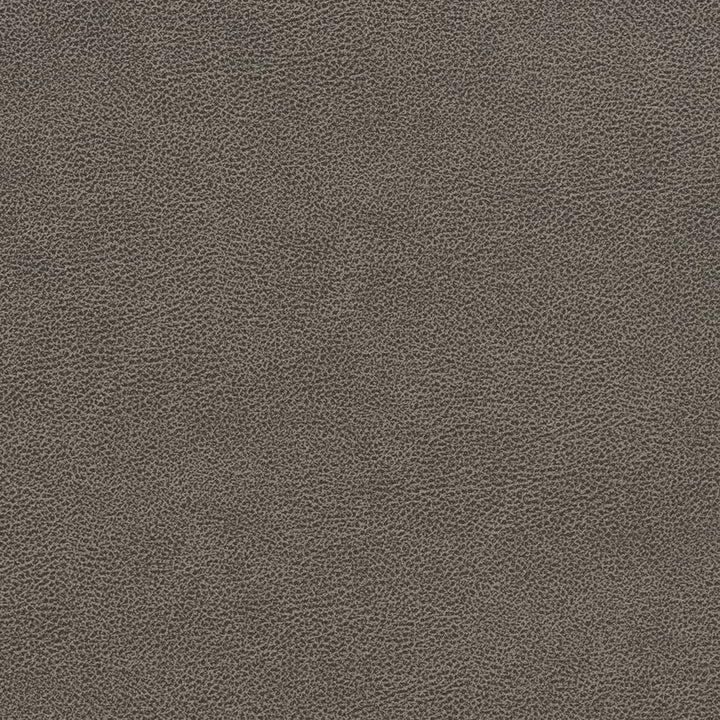 V510 Storm by Charlotte Designer Fabric Breathables IV 100% Breathable Polyurethane, 26oz. Asia Exceeds 2,000,000 Wyzenbeek Double Rubs (Heavy Duty) </p><p>Repeat: 54 Inches - Swanky Fabrics -