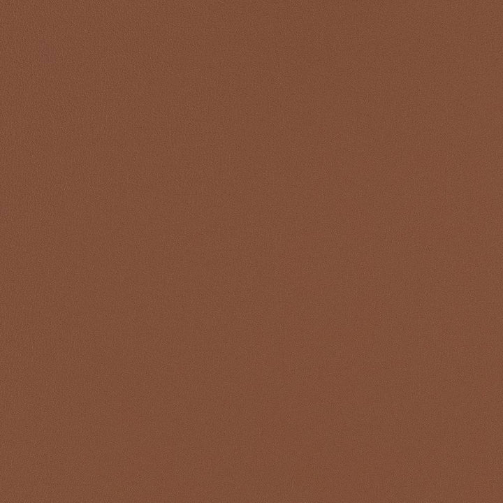 V513 Cognac by Charlotte Fabric Breathables IV 100% Breathable Polyurethane, 26oz. Asia Exceeds 2,000,000 Wyzenbeek Double Rubs (Heavy Duty) </p><p>Repeat: No Repeat 54 Inches - Fabric Carolina -