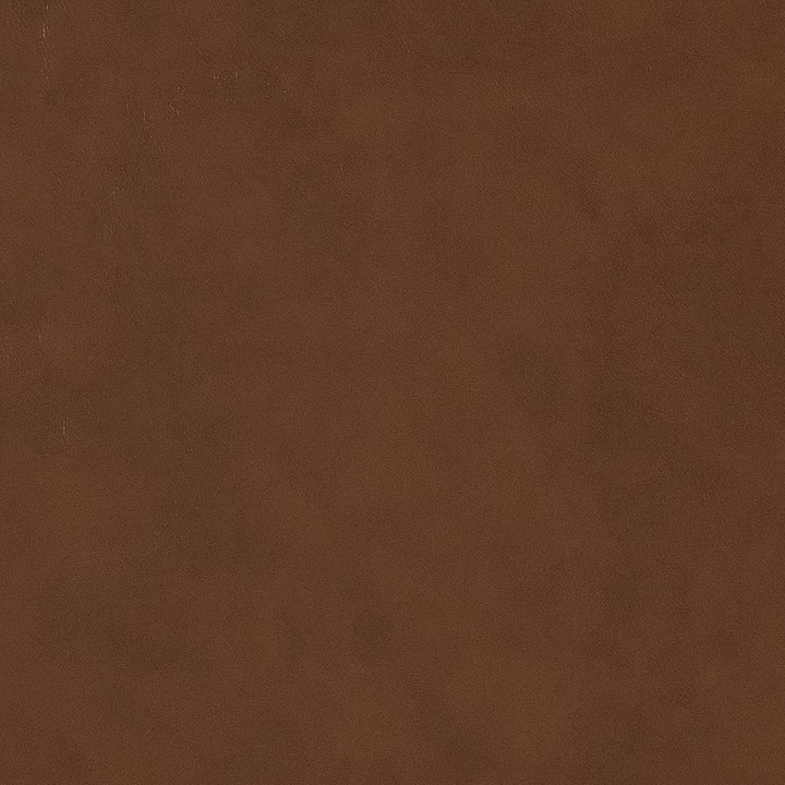 V515 Sepia by Charlotte Designer Fabric Breathables IV 100% Breathable Polyurethane, 26oz. China Exceeds 250,000 Wyzenbeek Rubs (Heavy Duty) No Repeat 54 Inches - Swanky Fabrics -