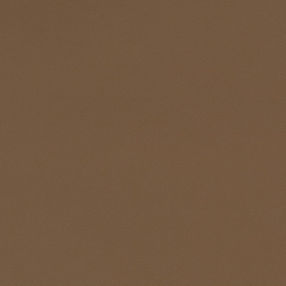 V551 Latte by Charlotte Fabric Value Vinyls II Face: 27 oz., 100% Lead-Free Vinyl, Back: 100% Polyester Asia Exceeds 200,000 Wyzenbeek Rubs (Heavy Duty) No Repeat 54 Inches - Fabric Carolina -
