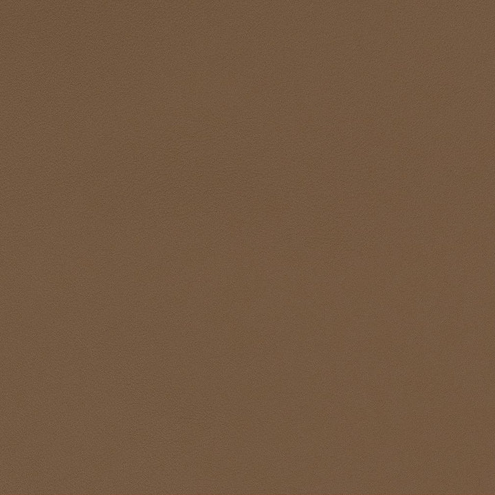 V551 Latte by Charlotte Fabric Value Vinyls II Face: 27 oz., 100% Lead-Free Vinyl, Back: 100% Polyester Asia Exceeds 200,000 Wyzenbeek Rubs (Heavy Duty) No Repeat 54 Inches - Fabric Carolina -