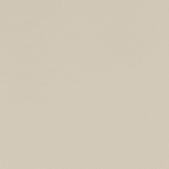 V552 Bone by Charlotte Fabric Value Vinyls II Face: 27 oz., 100% Vinyl, Back: Woven Polyester Asia Exceeds 200,000 Wyzenbeek Rubs (Heavy Duty) </p><p>Repeat: 54 Inches - Fabric Carolina -