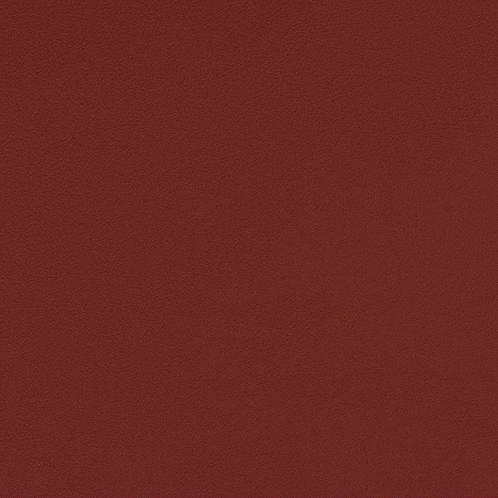 V553 Spice by Charlotte Fabric Value Vinyls II Face: 27 oz., 100% Vinyl, Back: Woven Polyester Asia Exceeds 200,000 Wyzenbeek Rubs (Heavy Duty) </p><p>Repeat: 54 Inches - Fabric Carolina -