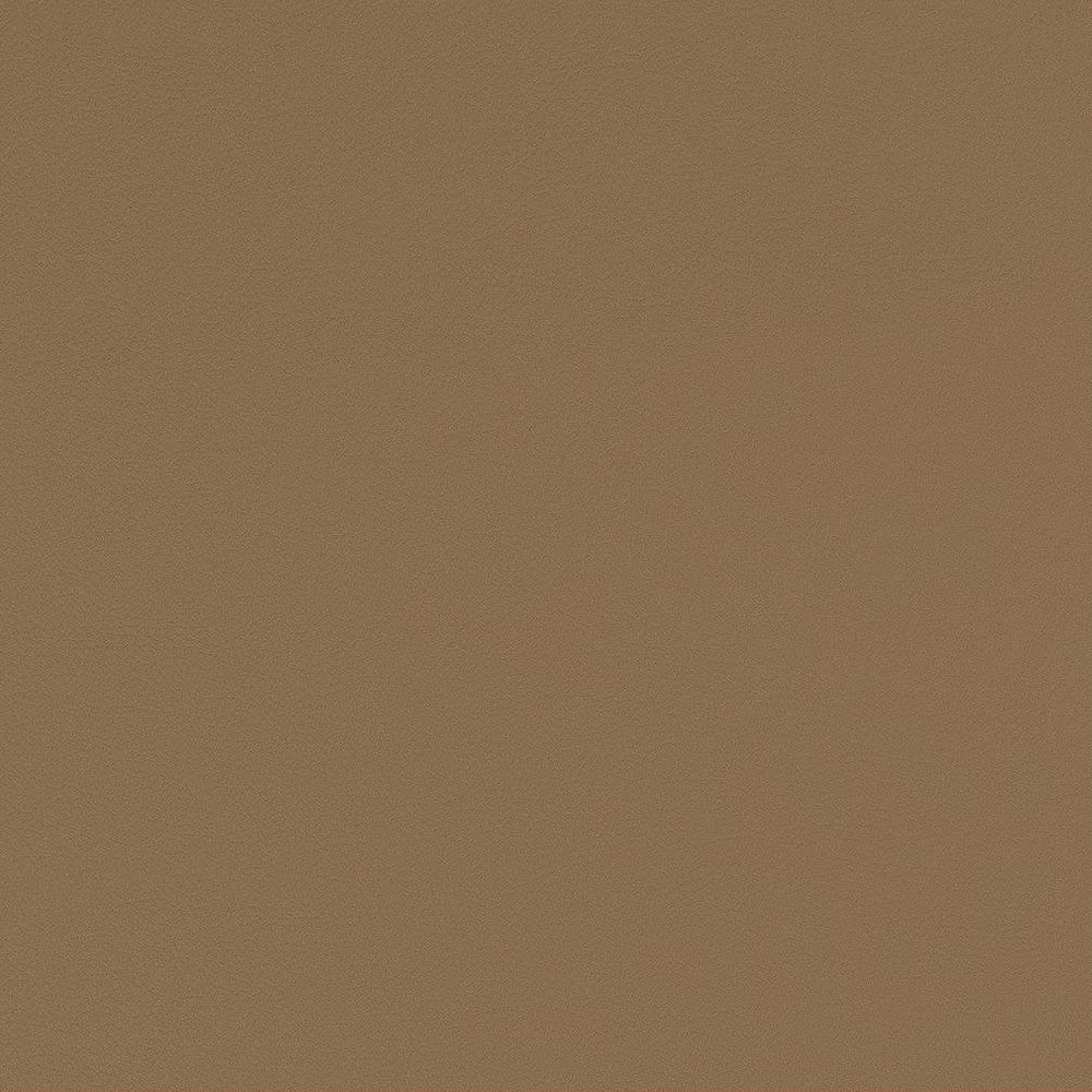 V554 Taupe by Charlotte Fabric Value Vinyls II Face: 27 oz., 100% Lead-Free Vinyl, Back: 100% Polyester Asia Exceeds 200,000 Wyzenbeek Rubs (Heavy Duty) No Repeat 54 Inches - Fabric Carolina -