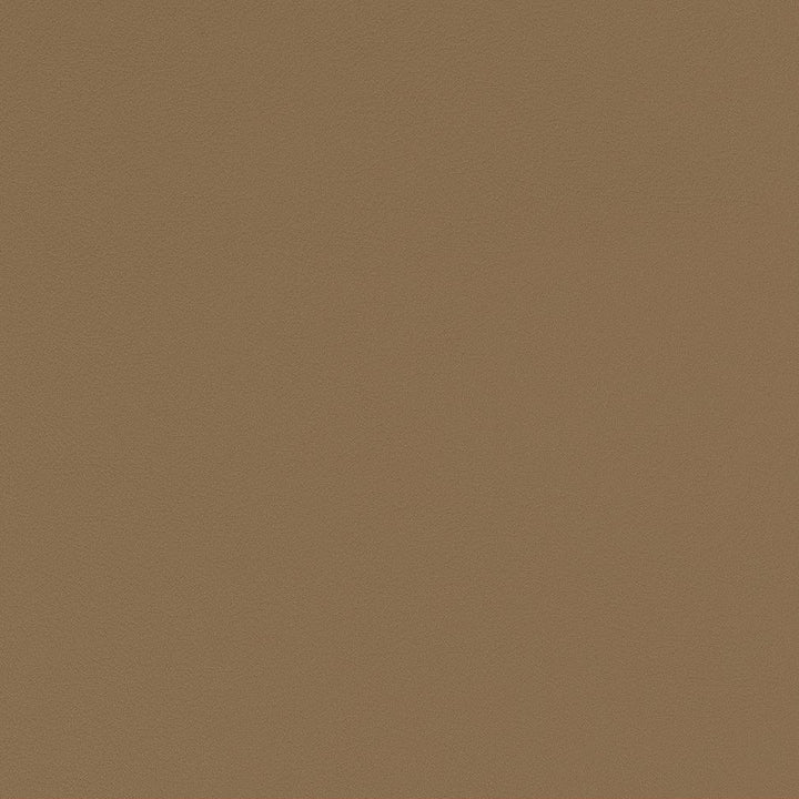 V554 Taupe by Charlotte Fabric Value Vinyls II Face: 27 oz., 100% Lead-Free Vinyl, Back: 100% Polyester Asia Exceeds 200,000 Wyzenbeek Rubs (Heavy Duty) No Repeat 54 Inches - Fabric Carolina -