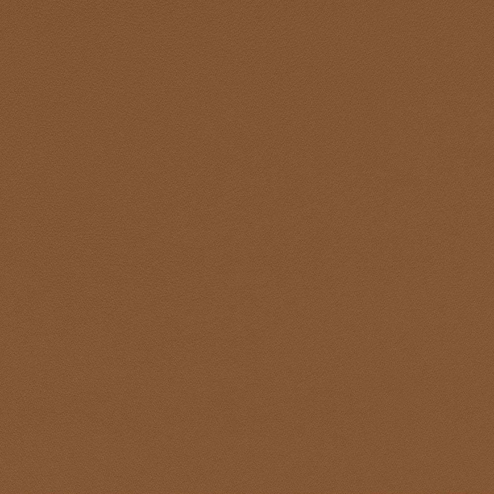 V555 Camel by Charlotte Fabric Value Vinyls II Face: 27 oz., 100% Vinyl, Back: Woven Polyester Asia Exceeds 200,000 Wyzenbeek Rubs (Heavy Duty) </p><p>Repeat: 54 Inches - Fabric Carolina -