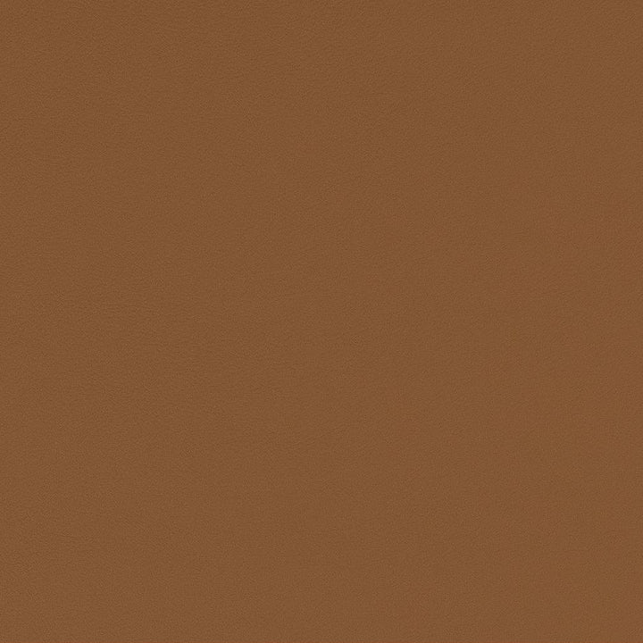 V555 Camel by Charlotte Fabric Value Vinyls II Face: 27 oz., 100% Lead-Free Vinyl, Back: 100% Polyester Asia Exceeds 200,000 Wyzenbeek Rubs (Heavy Duty) No Repeat 54 Inches - Fabric Carolina -