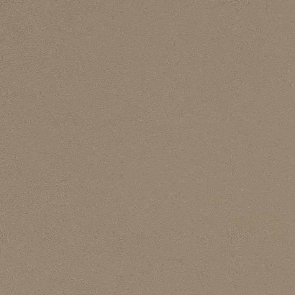 V556 Stone by Charlotte Fabric Value Vinyls II Face: 27 oz., 100% Lead-Free Vinyl, Back: 100% Polyester Asia Exceeds 200,000 Wyzenbeek Rubs (Heavy Duty) No Repeat 54 Inches - Fabric Carolina -