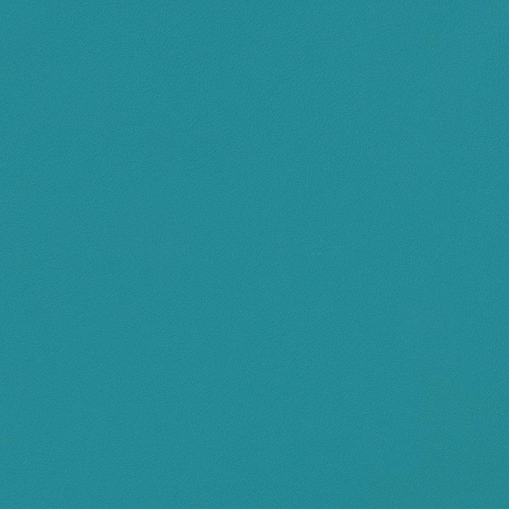 V558 Lagoon by Charlotte Fabric Value Vinyls II Face: 27 oz., 100% Vinyl, Back: Woven Polyester Asia Exceeds 200,000 Wyzenbeek Rubs (Heavy Duty) </p><p>Repeat: No Repeat 54 Inches - Fabric Carolina -