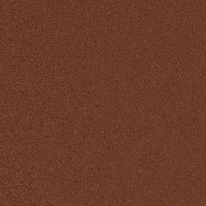 V560 Saddle by Charlotte Fabric Value Vinyls II Face: 27 oz., 100% Vinyl, Back: Woven Polyester Asia Exceeds 200,000 Wyzenbeek Rubs (Heavy Duty) </p><p>Repeat: 54 Inches - Fabric Carolina -