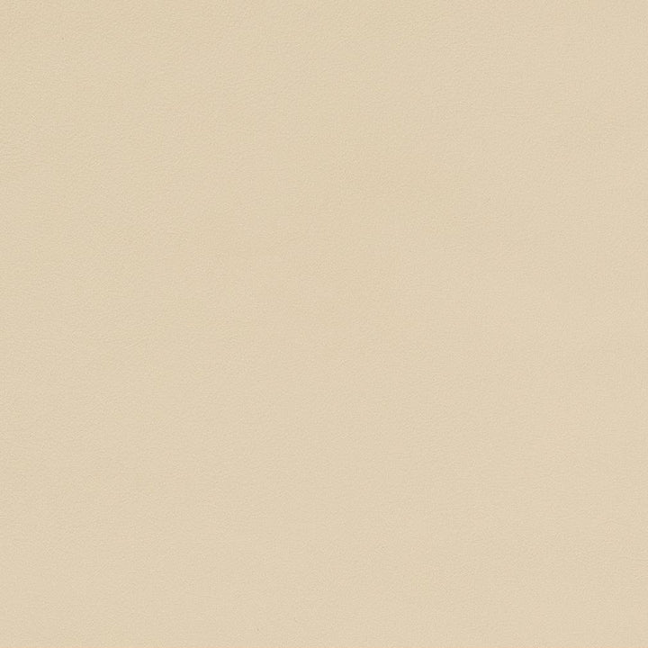 V563 Cream by Charlotte Fabric Value Vinyls II Face: 27 oz., 100% Vinyl, Back: Woven Polyester Asia Exceeds 200,000 Wyzenbeek Rubs (Heavy Duty) </p><p>Repeat: No Repeat 54 Inches - Fabric Carolina -