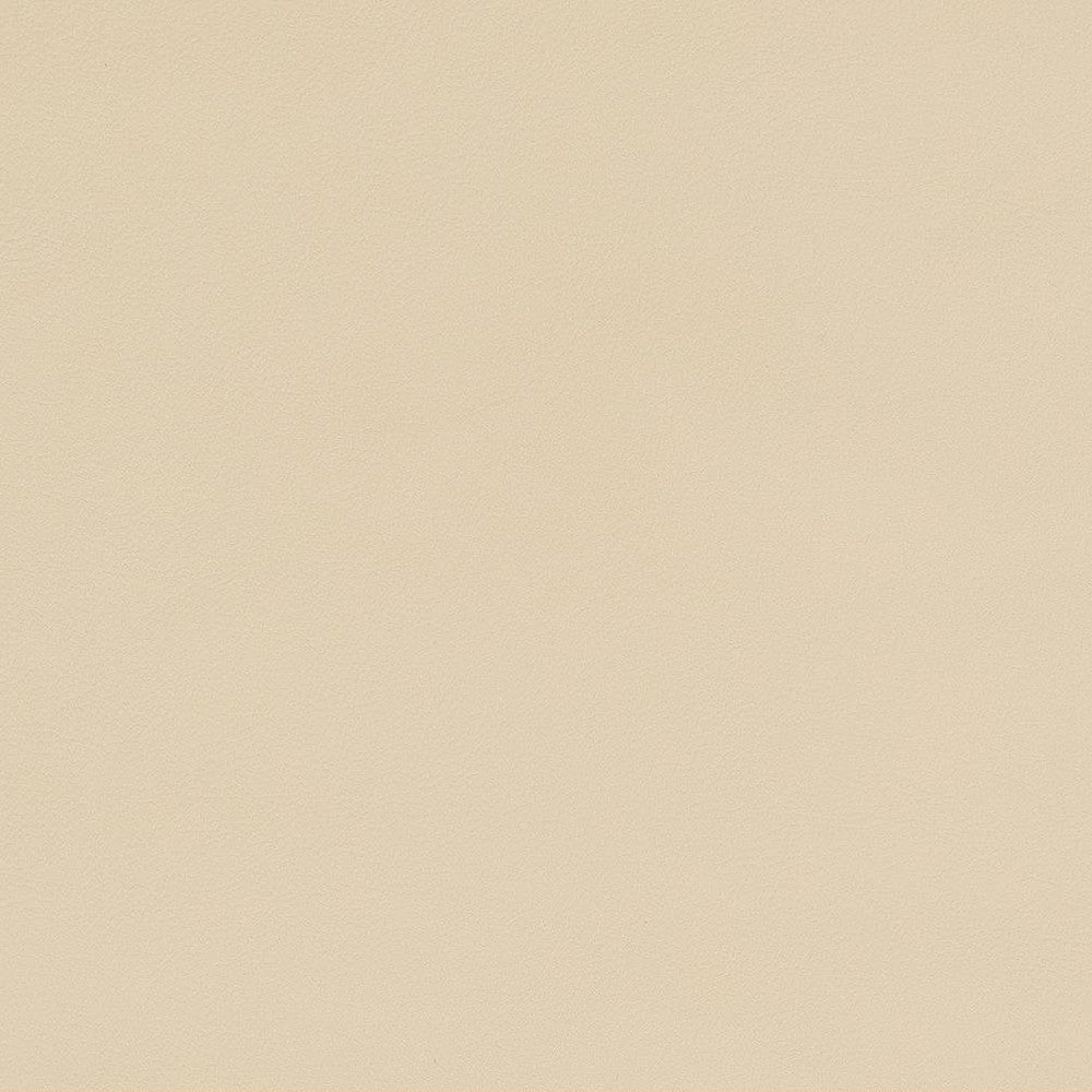 V563 Cream by Charlotte Fabric Value Vinyls II Face: 27 oz., 100% Lead-Free Vinyl, Back: 100% Polyester Asia Exceeds 200,000 Wyzenbeek Rubs (Heavy Duty) No Repeat 54 Inches - Fabric Carolina -